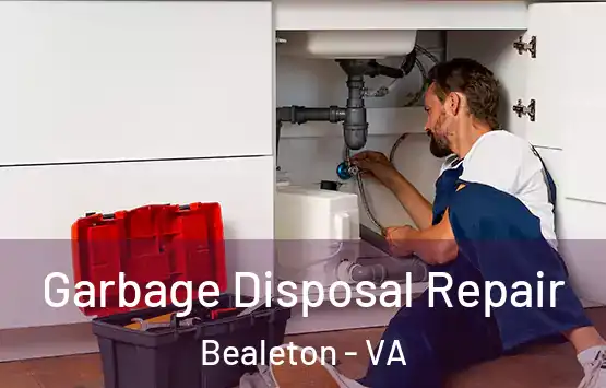  Garbage Disposal Repair Bealeton - VA