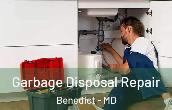  Garbage Disposal Repair Benedict - MD