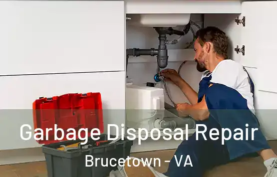  Garbage Disposal Repair Brucetown - VA