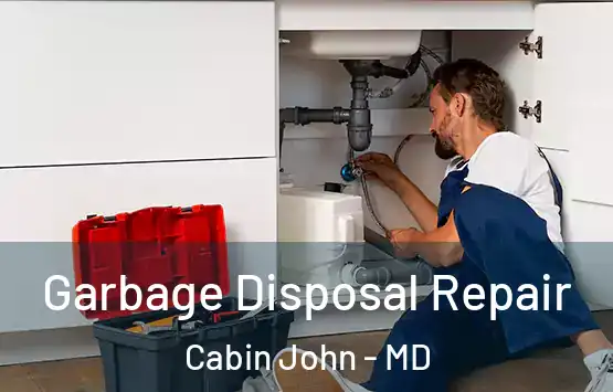  Garbage Disposal Repair Cabin John - MD