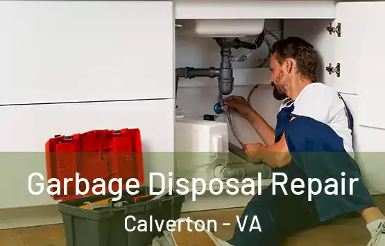  Garbage Disposal Repair Calverton - VA