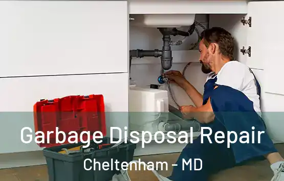  Garbage Disposal Repair Cheltenham - MD