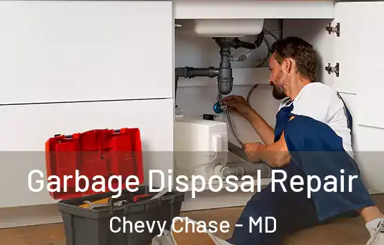  Garbage Disposal Repair Chevy Chase - MD