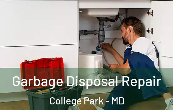  Garbage Disposal Repair College Park - MD