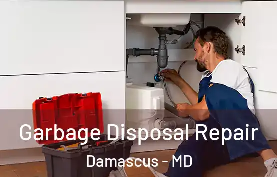  Garbage Disposal Repair Damascus - MD
