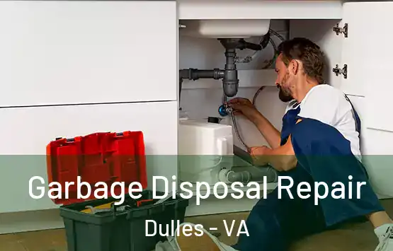  Garbage Disposal Repair Dulles - VA