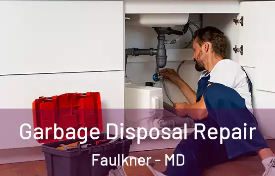  Garbage Disposal Repair Faulkner - MD