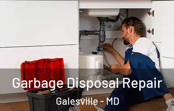  Garbage Disposal Repair Galesville - MD