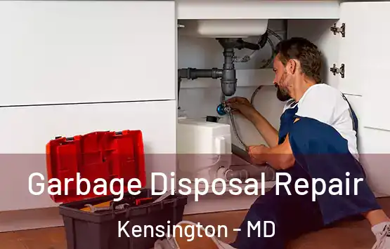  Garbage Disposal Repair Kensington - MD