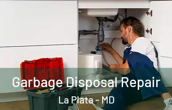  Garbage Disposal Repair La Plata - MD