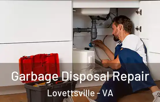  Garbage Disposal Repair Lovettsville - VA