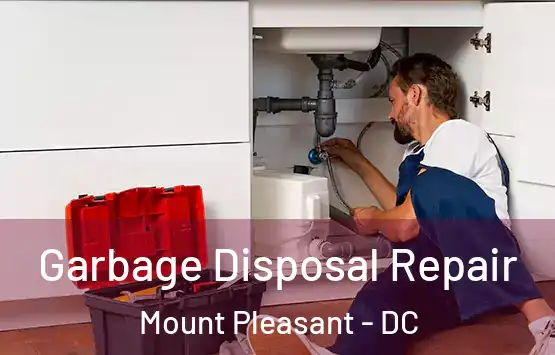  Garbage Disposal Repair Mount Pleasant - DC