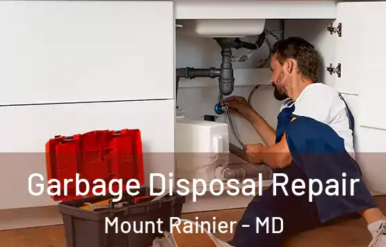  Garbage Disposal Repair Mount Rainier - MD