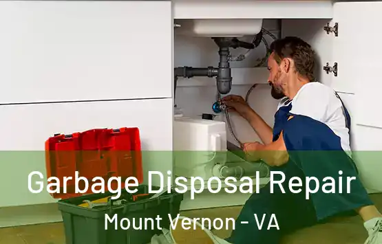  Garbage Disposal Repair Mount Vernon - VA