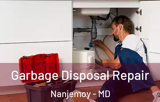  Garbage Disposal Repair Nanjemoy - MD