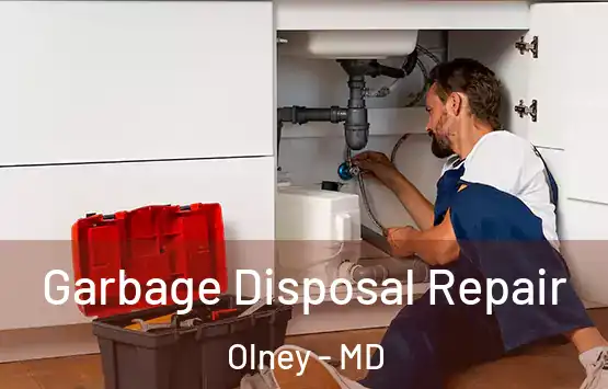  Garbage Disposal Repair Olney - MD
