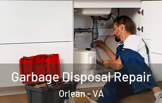  Garbage Disposal Repair Orlean - VA
