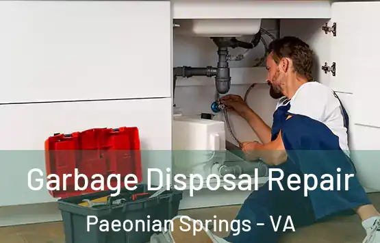  Garbage Disposal Repair Paeonian Springs - VA