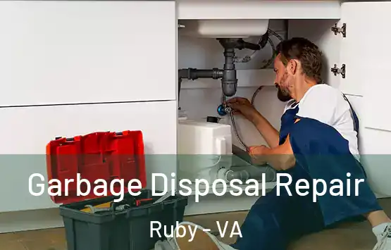  Garbage Disposal Repair Ruby - VA