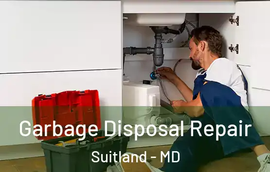  Garbage Disposal Repair Suitland - MD