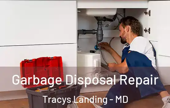  Garbage Disposal Repair Tracys Landing - MD