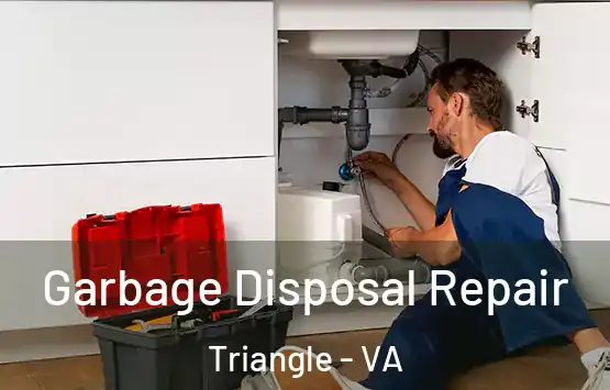  Garbage Disposal Repair Triangle - VA