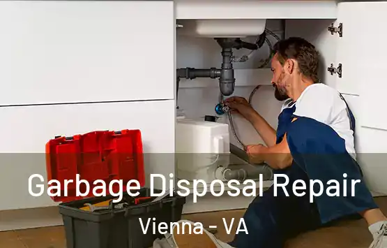  Garbage Disposal Repair Vienna - VA