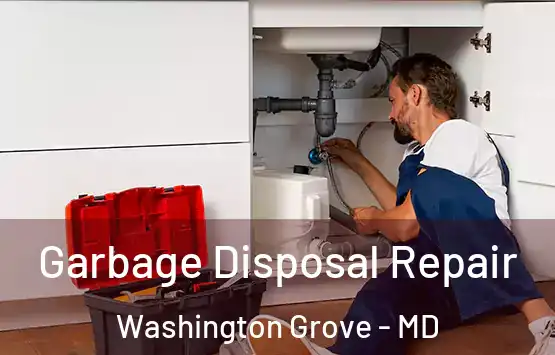  Garbage Disposal Repair Washington Grove - MD