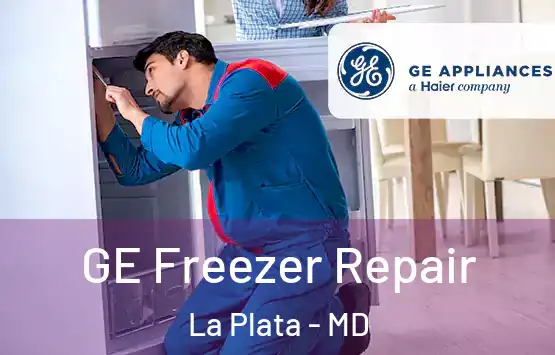  GE Freezer Repair La Plata - MD
