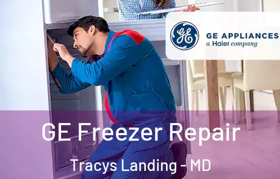 GE Freezer Repair Tracys Landing - MD