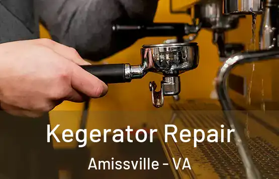  Kegerator Repair Amissville - VA