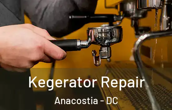  Kegerator Repair Anacostia - DC
