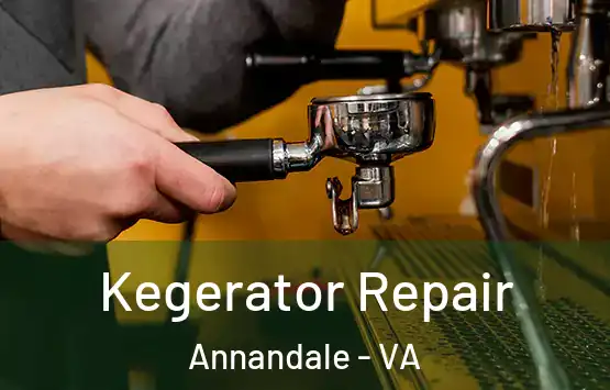  Kegerator Repair Annandale - VA