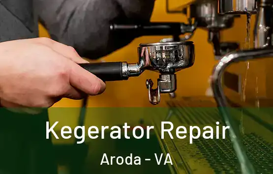  Kegerator Repair Aroda - VA