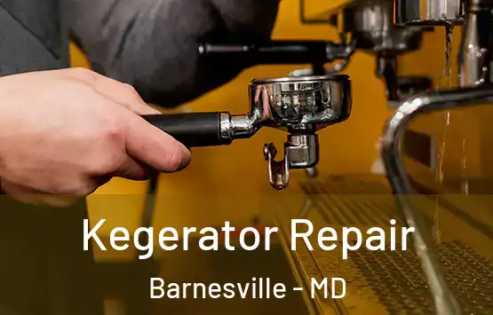  Kegerator Repair Barnesville - MD