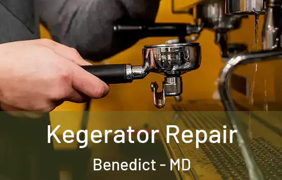  Kegerator Repair Benedict - MD
