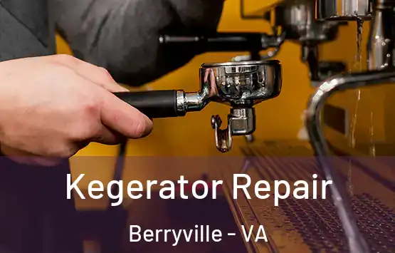  Kegerator Repair Berryville - VA
