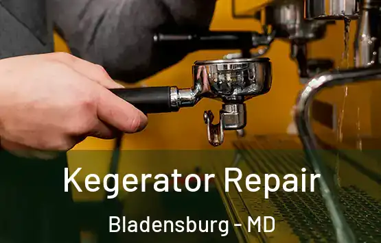  Kegerator Repair Bladensburg - MD