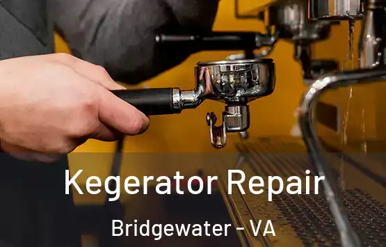  Kegerator Repair Bridgewater - VA