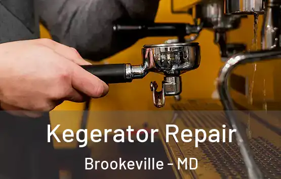  Kegerator Repair Brookeville - MD