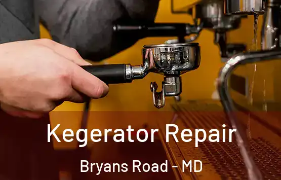  Kegerator Repair Bryans Road - MD