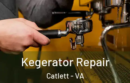  Kegerator Repair Catlett - VA