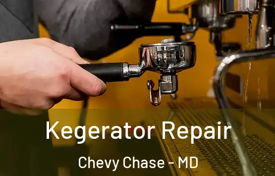  Kegerator Repair Chevy Chase - MD
