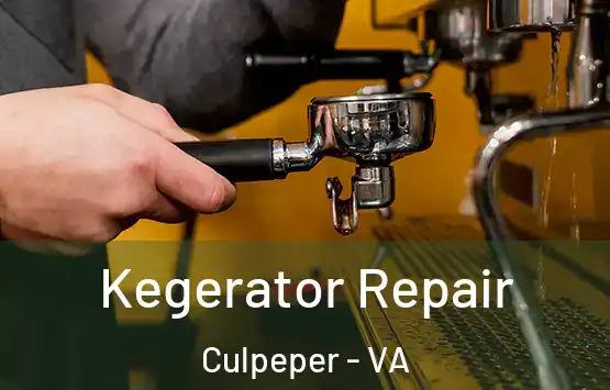  Kegerator Repair Culpeper - VA