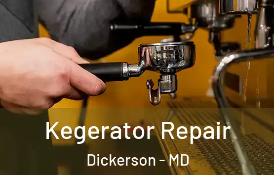  Kegerator Repair Dickerson - MD