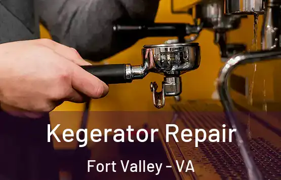  Kegerator Repair Fort Valley - VA