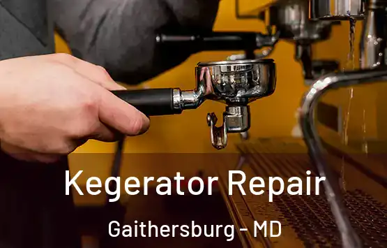  Kegerator Repair Gaithersburg - MD