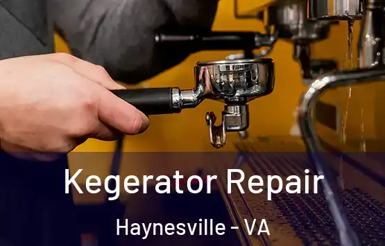  Kegerator Repair Haynesville - VA