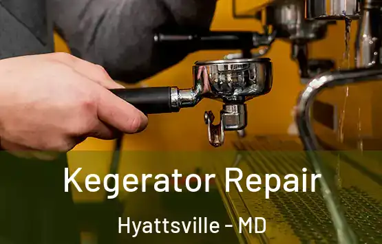  Kegerator Repair Hyattsville - MD