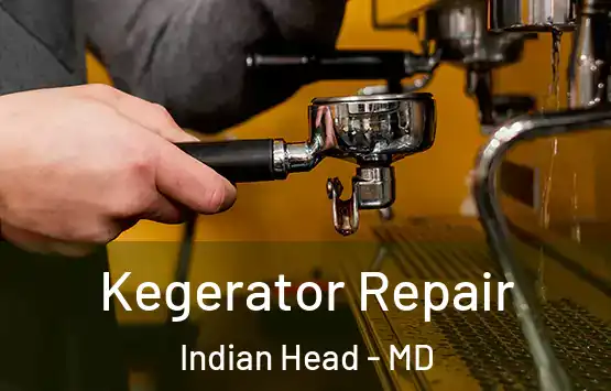  Kegerator Repair Indian Head - MD